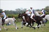 UKPA  NC Sat_1359